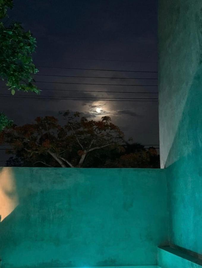 Private Full House With Pool And Cozy Patio Villa วัลลาโดลิด ภายนอก รูปภาพ